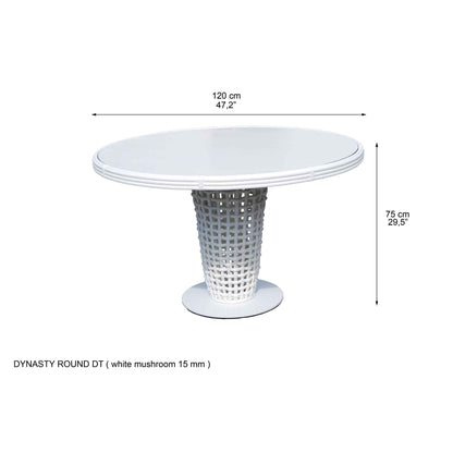 Dynasty 5-Piece Dining Set with Sunbrella Cushion